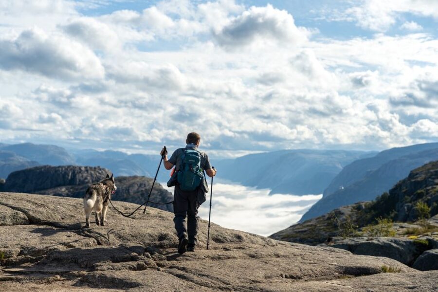 From Stavanger: Pulpit Rock Guided Hike with Pickup - Why This Pulpit Rock Hike Feels Different Than the Usual Tour