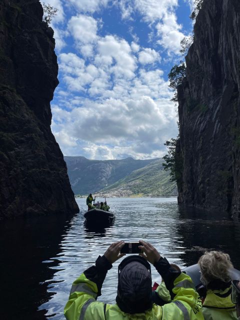From Stavanger: RIB Tour to Lysefjord - Wildlife Chances: Porpoises, Seals, Sea Eagles, and the Fun of Watching