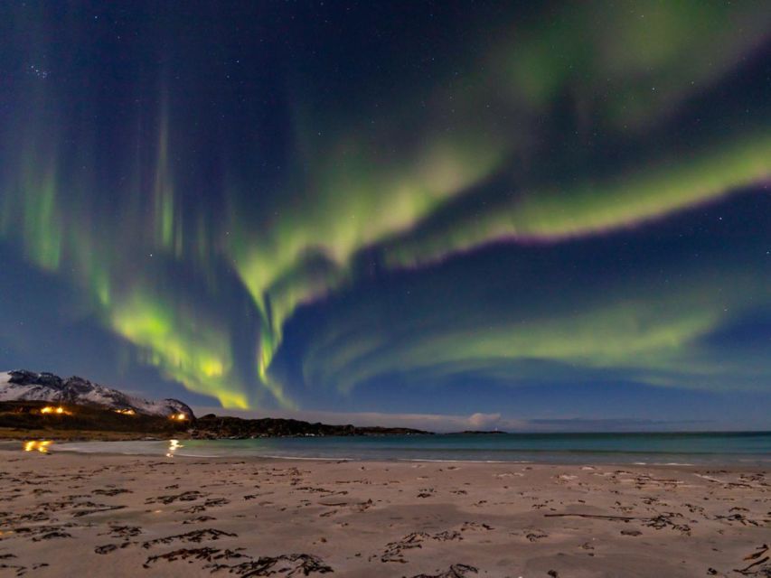 From Svolvær: Guided Northern Lights Tour by Van - Why a guided van hunt beats wandering in Lofoten winter