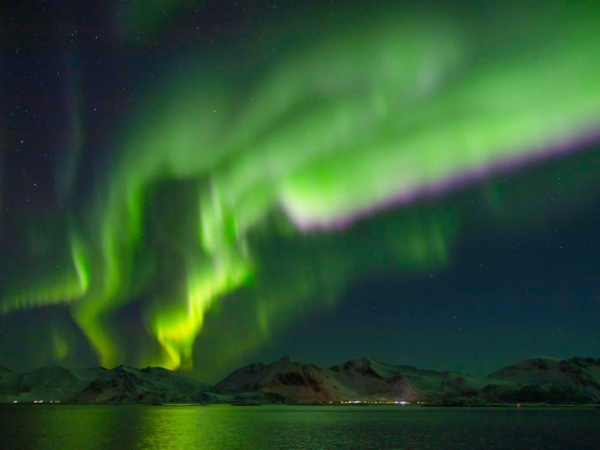 From Svolvær: Guided Northern Lights Tour by Van - Photo help that actually improves your results