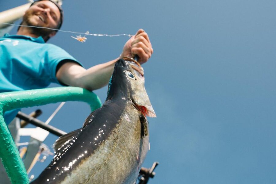 From Svolvaer: Lofoten Fishing Boat Cruise - Key things I’d pay attention to