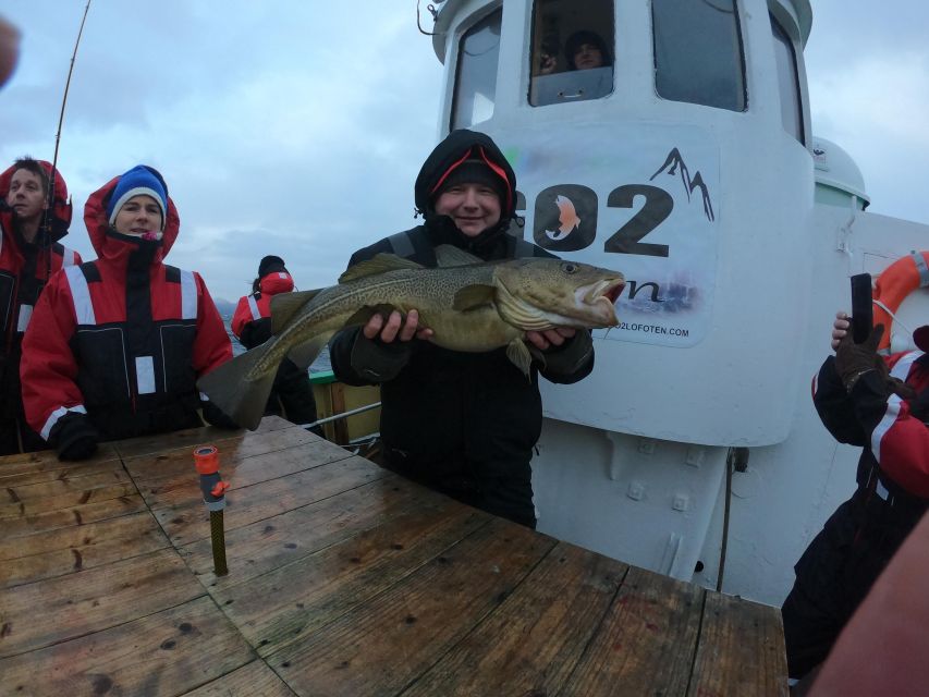 From Svolvaer: Lofoten Fishing Boat Cruise - FAQ