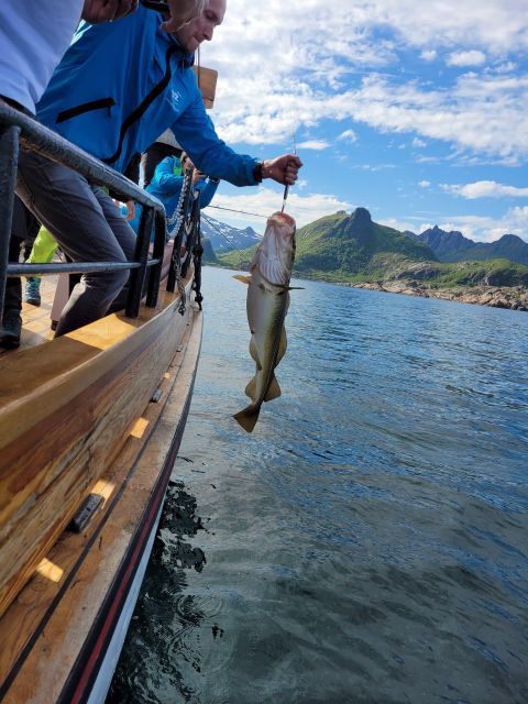 From Svolvaer: Lofoten Fishing Boat Cruise - How the cod hunt works on the Lofoten Sea