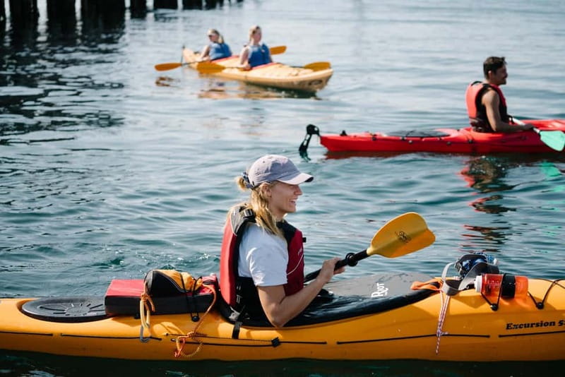 From Svolvær: Lofoten Guided Kayak Experience - Key things to know before you paddle in Svolvær
