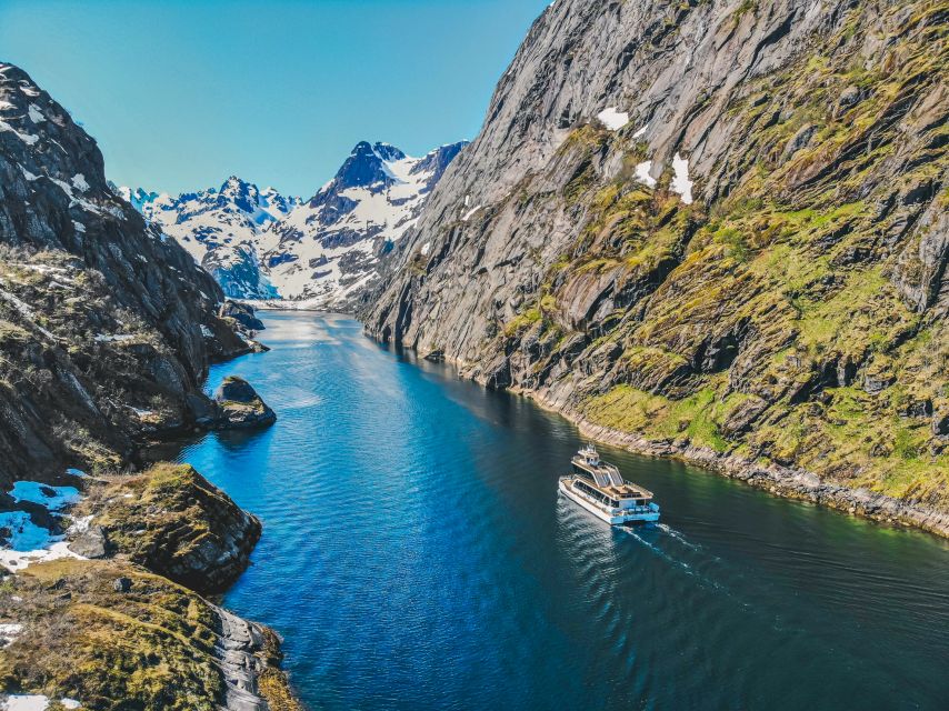 From Svolvær: Lofoten Islands Silent Trollfjord Cruise - Key points worth knowing before you board