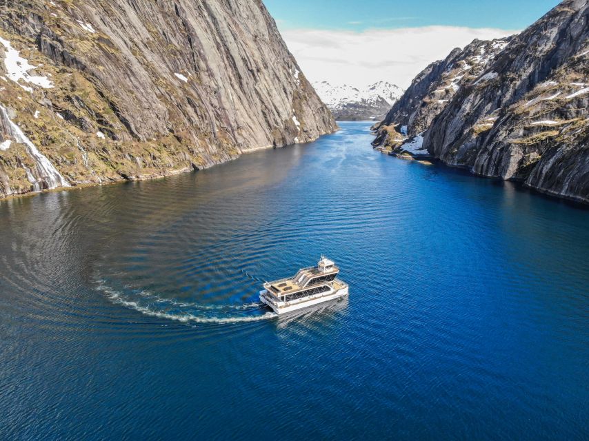 From Svolvær: Lofoten Islands Silent Trollfjord Cruise - The Guide and Crew Experience: Clear Direction, Humor, and Eagle Focus
