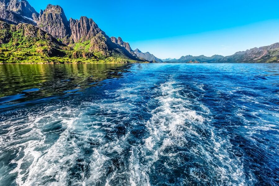 From Svolvær: Lofoten Islands Silent Trollfjord Cruise - Wildlife Etiquette That Makes the Trip Better