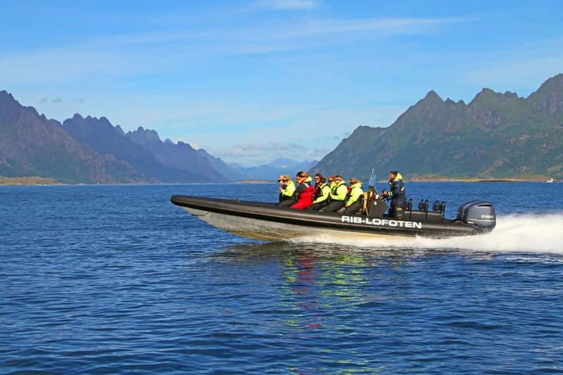 From Svolvær: Lofoten RIB Sea Eagle Safari Trollfjord Cruise - Why Trollfjord Sea Eagle Viewing From Svolvær Feels Like a Real Safari