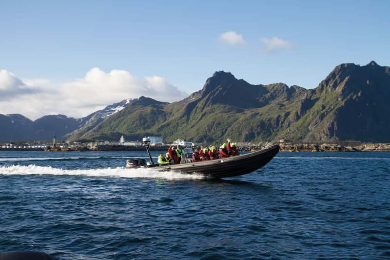 From Svolvær: Lofoten RIB Sea Eagle Safari Trollfjord Cruise - The RIB Ride Itself, Fast Enough to Feel Exciting