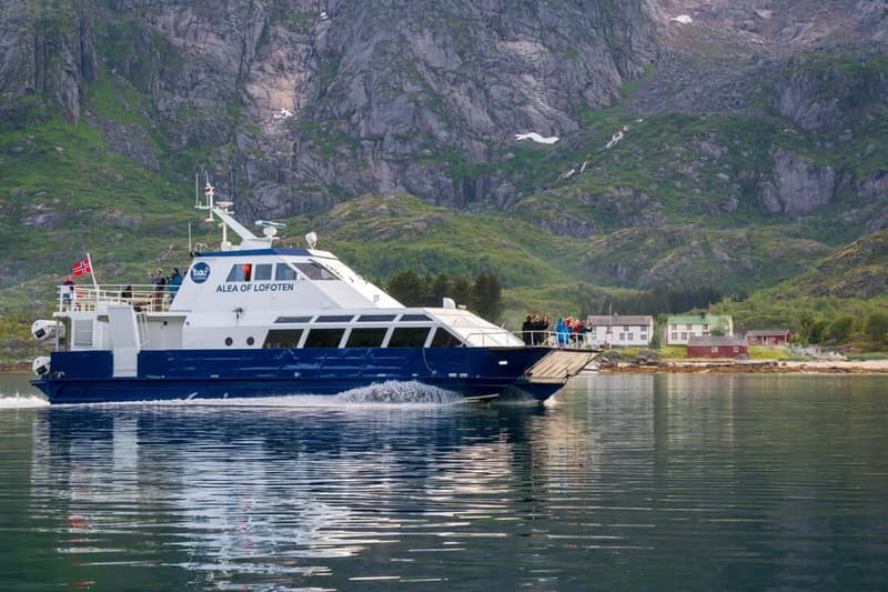 From Svolvær: Lofoten Trollfjord Cruise & Sea Eagle Safari - Should you book this Svolvær Trollfjord and sea eagle cruise?
