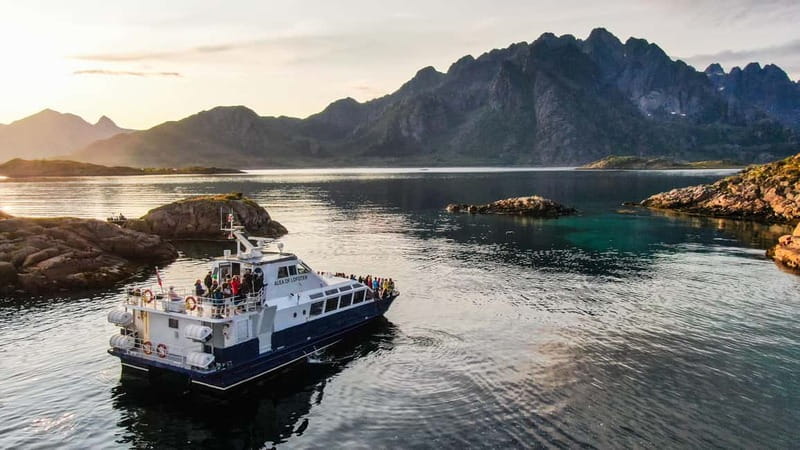 From Svolvær: Lofoten Trollfjord Cruise & Sea Eagle Safari - Sea eagle safari: the moment you actually look up