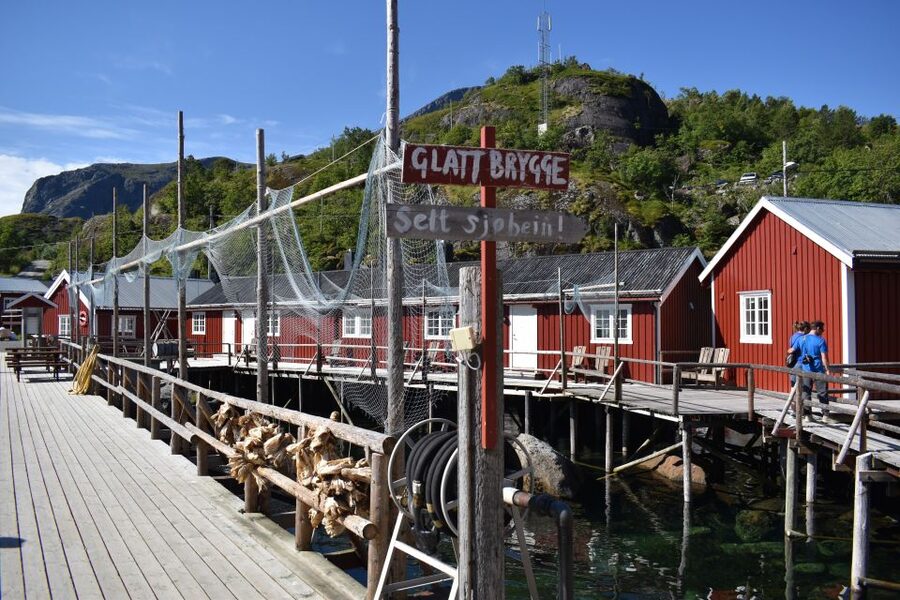From Svolvaer: Private Lofoten Islands Tour with Transfer - Price and value, how to judge the cost like a local