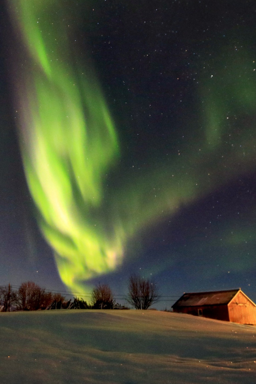 From Svolvaer: Private Northern Lights Search Trip - Key highlights I’d plan around