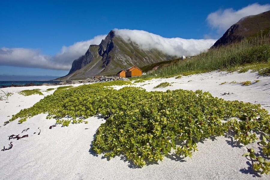 From Svolvær: Reine & Å Lofoten West Island Full Day Tour - Who this is best for, and who might want a different plan