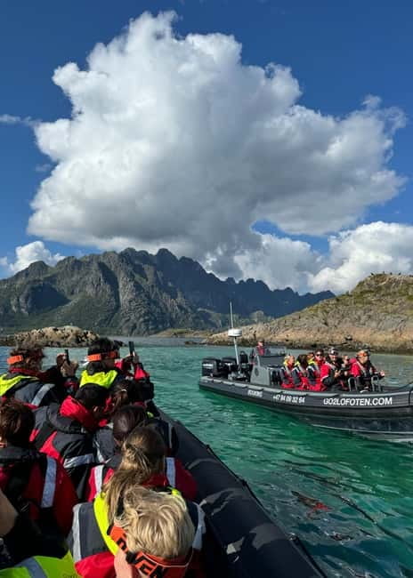 From Svolvær: RIB Boat Lofoten Trollfjord Sea Eagle Safari - Who should book this sea eagle and Trollfjord RIB safari