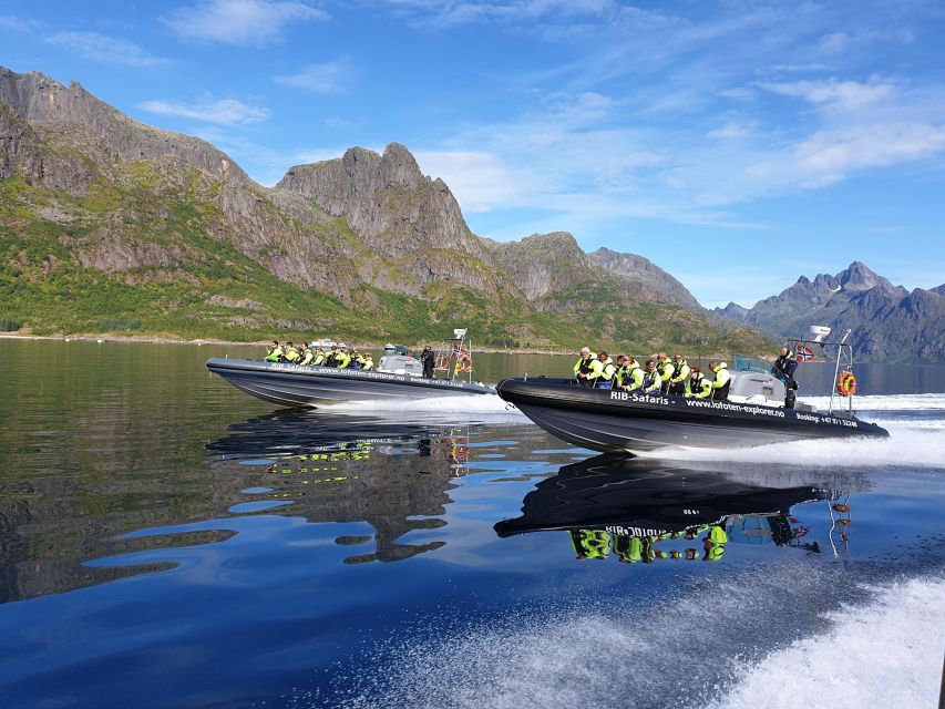From Svolvaer: Trollfjorden Wildlife RIB Cruise - From Svolvaer Out to Trollfjorden, Fast and Focused