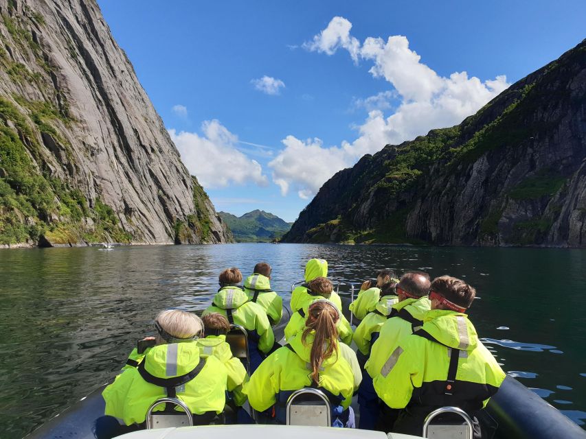 From Svolvaer: Trollfjorden Wildlife RIB Cruise - Boarding the RIB in Svolvaer: Your Starting Point Matters