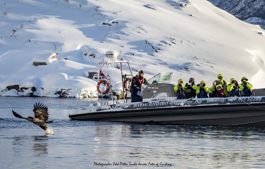 From Svolvaer: Trollfjorden Wildlife RIB Cruise - Trollfjord, Øyhellsundet, and Why Steep Water Changes Everything