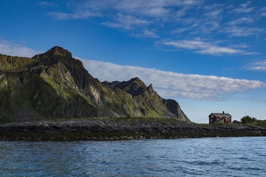 From Svolvaer: Trollfjorden Wildlife RIB Cruise - What the 2 Hours Actually Feels Like