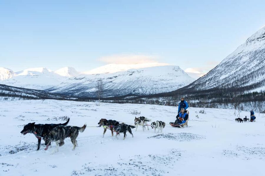 From Tromsø: Advanced Dog Sledding Daytime & Snow Park Visit - Key things to know before you go