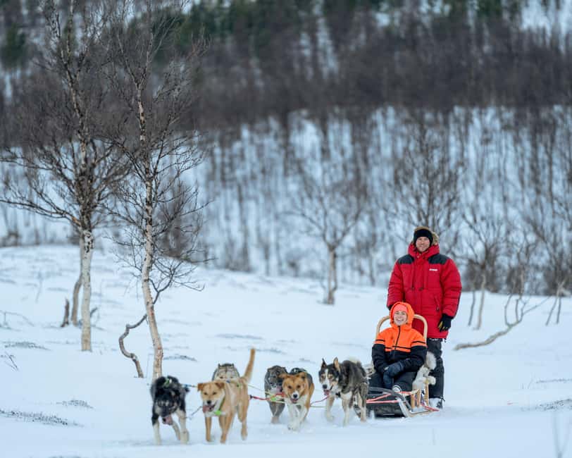 From Tromsø: Advanced Dog Sledding Daytime & Snow Park Visit - Tromsø to Tamok Valley: the long winter ride that sets the mood