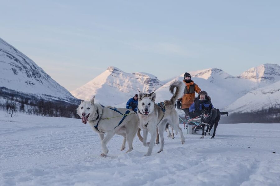 From Tromsø: Advanced Dog Sledding Tour at Camp Tamok - From Tromsø to Tamok Valley: the bus ride that actually matters