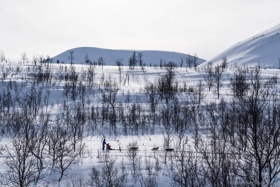 From Tromsø: Advanced Dog Sledding Tour at Camp Tamok - Gear and safety: getting ready for a real cold-weather workout