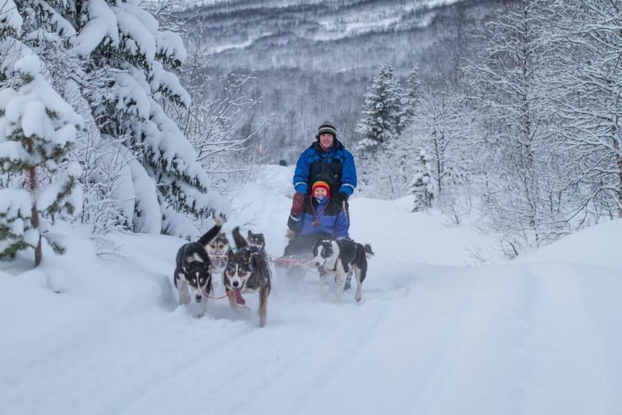 From Tromsø: Advanced Dog Sledding Tour at Camp Tamok - The advanced course reality: uphill pushing and downhill speed control