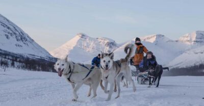 Advanced Dog Sledding Tour at Camp Tamok