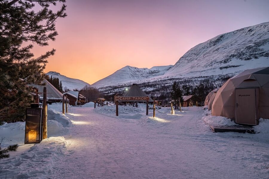 From Tromsø: Advanced Dog Sledding Tour at Camp Tamok - Price and value: is $313 really fair for an advanced day?