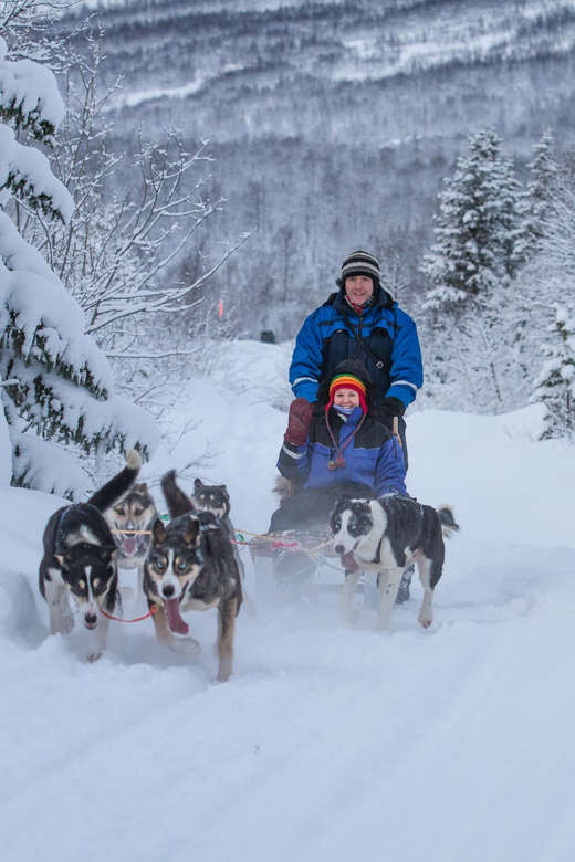 From Tromsø: Advanced Dog Sledding Tour at Camp Tamok - Who this tour fits best, and who should skip it
