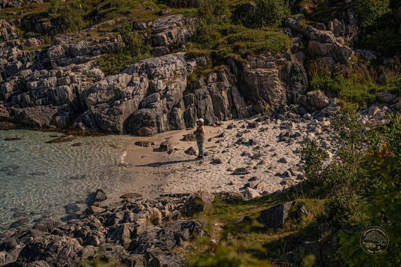 From Tromsø: Arctic Roadtrip: fjords tour with scenic picnic - Key highlights worth your attention