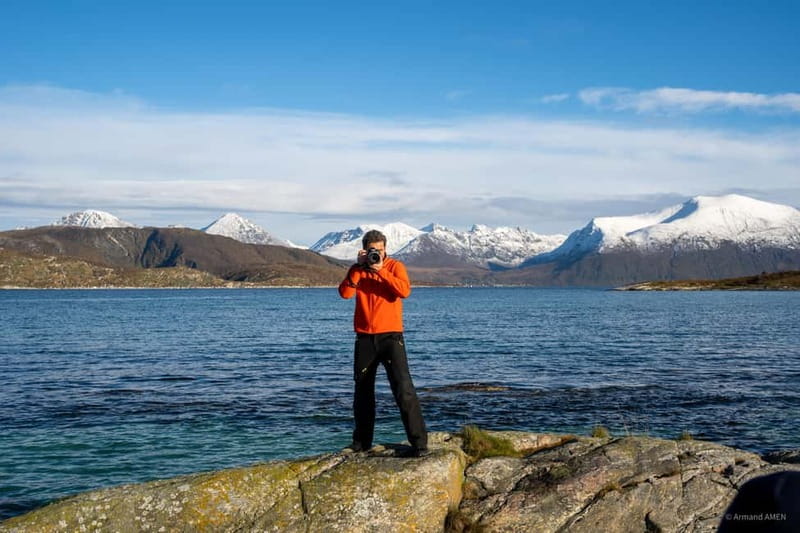 From Tromsø: Arctic Roadtrip: fjords tour with scenic picnic - Wildlife and photo stops: how guides make the day worth filming