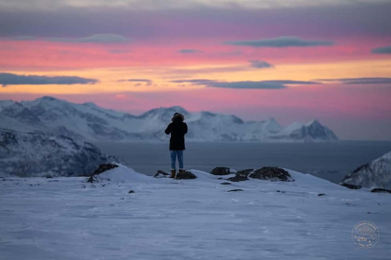 From Tromsø: Arctic Roadtrip: fjords tour with scenic picnic - What it’s like on your feet: minimal walking, real Arctic footing