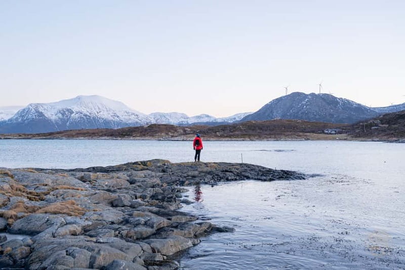 From Tromsø: Arctic Roadtrip: fjords tour with scenic picnic - Price and value: why $146 can work for a single-day Arctic plan