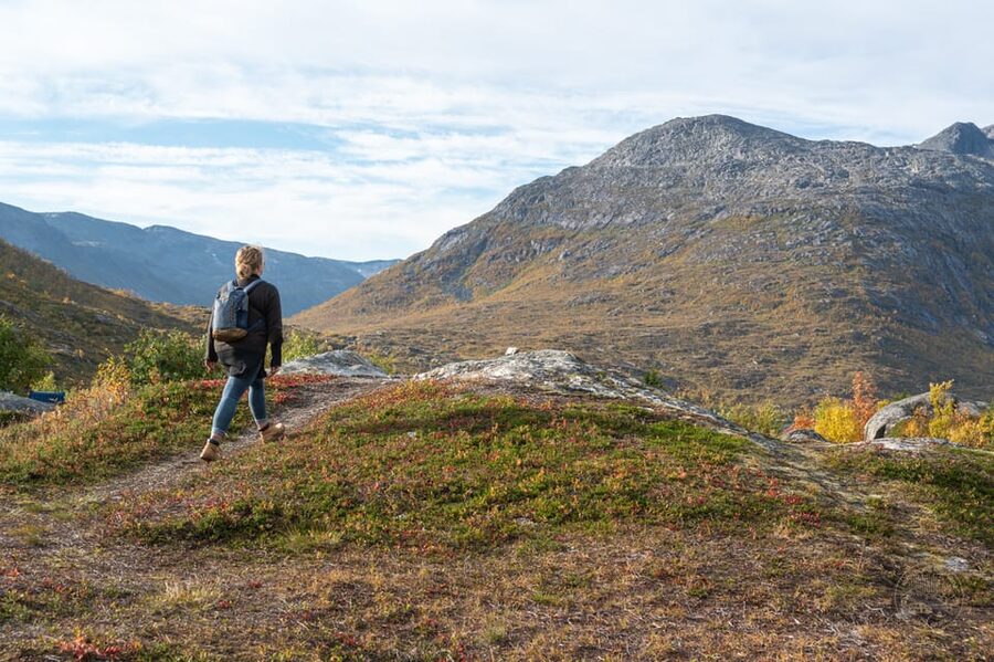 From Tromsø: Arctic Roadtrip Small Group 4x4 Van - Quick take: what you’ll love most