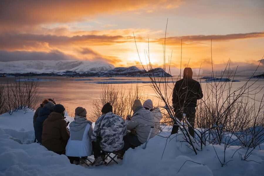 From Tromsø: Arctic Roadtrip Small Group 4x4 Van - 4x4 van comfort in a tight half-day schedule (4.5-5.5 hours)