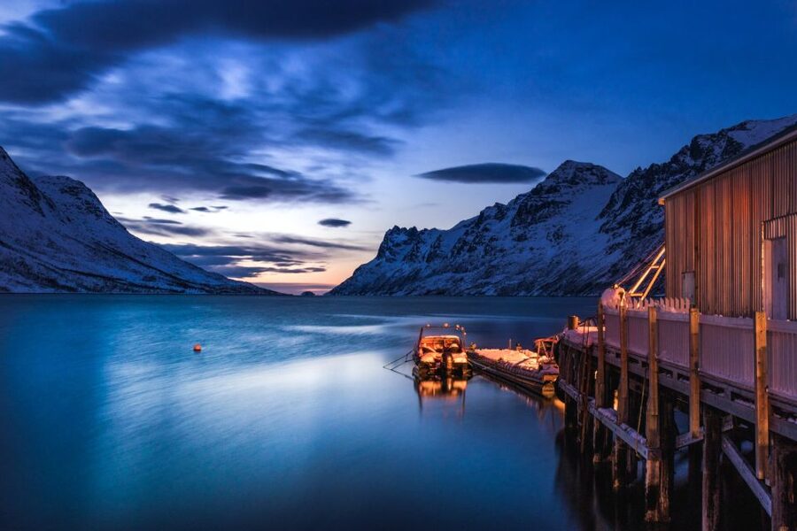 From Tromsø: Arctic Wildlife & Fjord Sightseeing Tour by Car - Key highlights I’d plan around