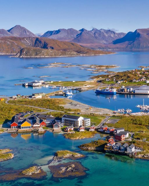 From Tromsø: Arctic Wildlife & Fjord Sightseeing Tour by Car - Who this tour suits best