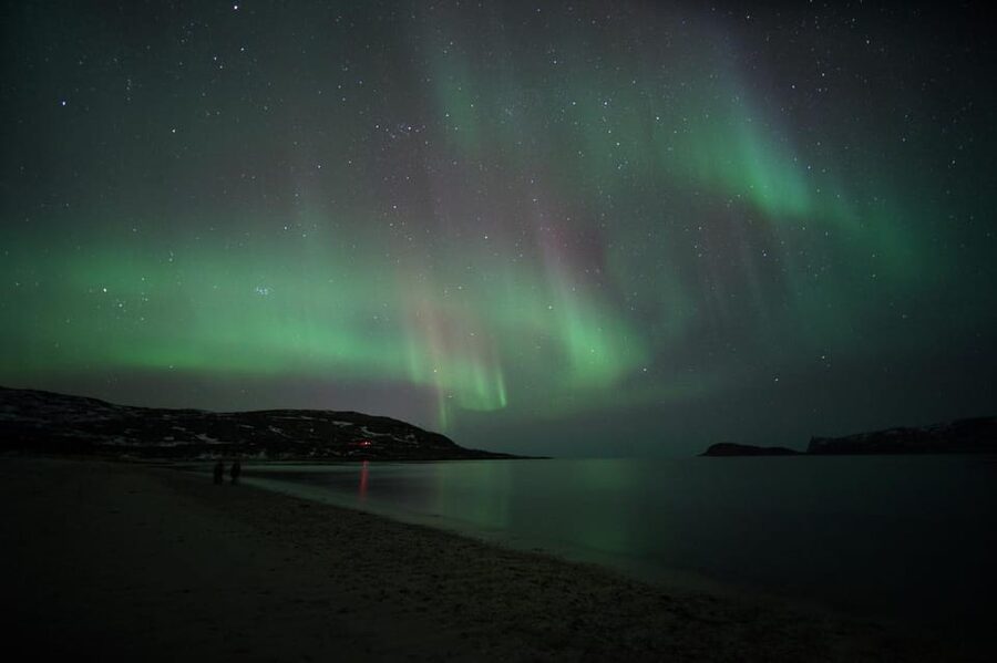 From Tromsø: Aurora Bus Tour with Snacks, Photos, and Drinks - Who you ride with: drivers and guide teamwork that keeps the night on track