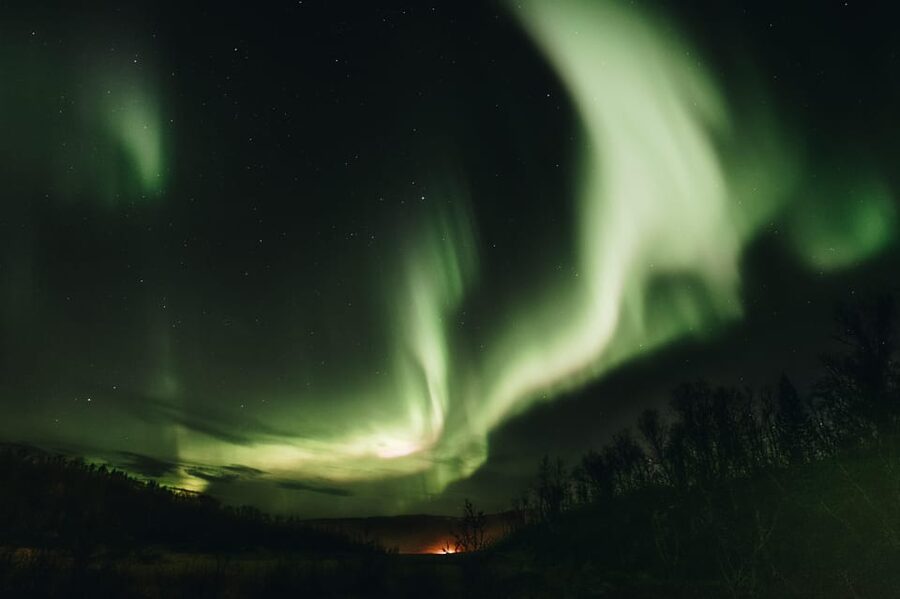 From Tromsø: Aurora Snowshoe Hike - Who should book this snowshoe aurora tour?