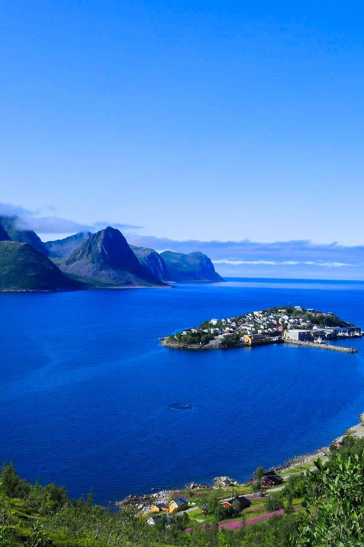 From Tromsø:(Chinese)Senja Day Trip - Transportation reality, ferry waits, and winter comfort