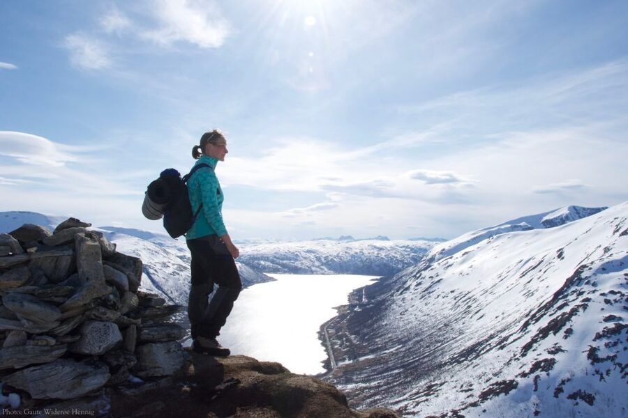 From Tromsø: Daytime Snowshoe Experience with stunning views - Who This Snowshoe Tour Fits Best