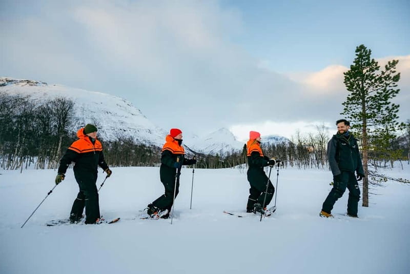 From Tromsø: Daytime Snowshoeing and Snow Park Visit - Key things that make this day trip work