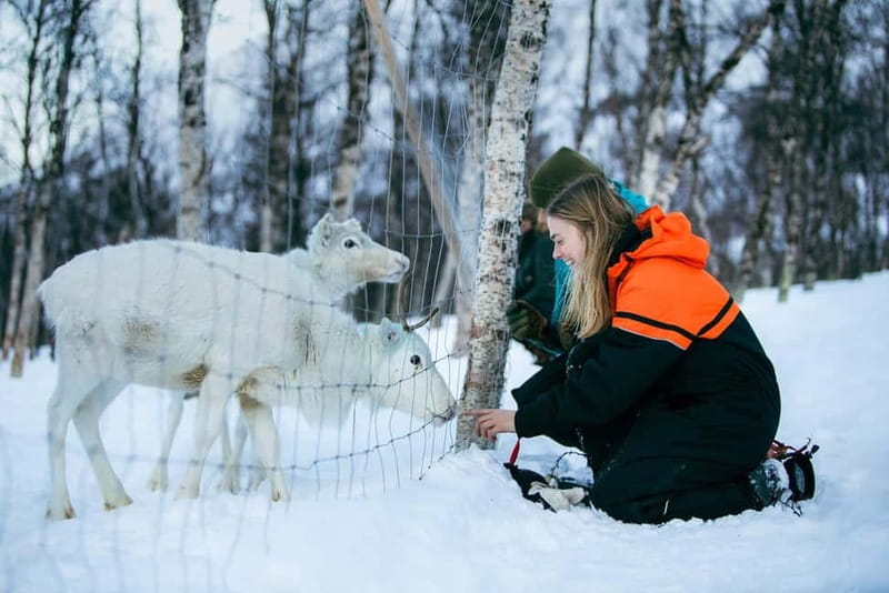 From Tromsø: Daytime Snowshoeing and Snow Park Visit - Medium difficulty: what you need to be ready for