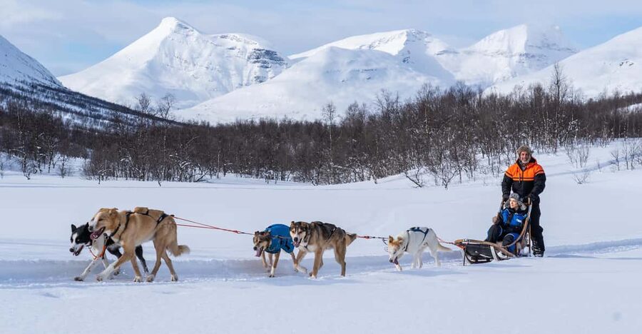 From Tromsø: Dog Sledding Adventure in Tamokdalen - Key things I’d prioritize before you go