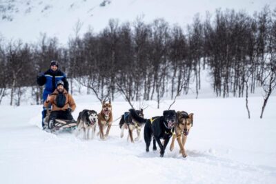 Dog Sledding Adventure in Tamokdalen