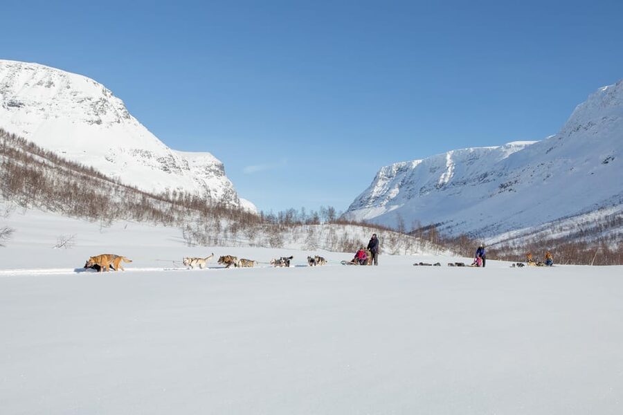 From Tromsø: Dog Sledding Adventure in Tamokdalen - Price and value for Tromsø husky sledding at $324