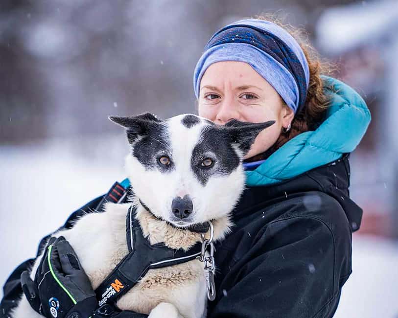 From Tromsø: Dog Sledding Experience with Transfer - Price and Value: What $304 Buys in Real Terms