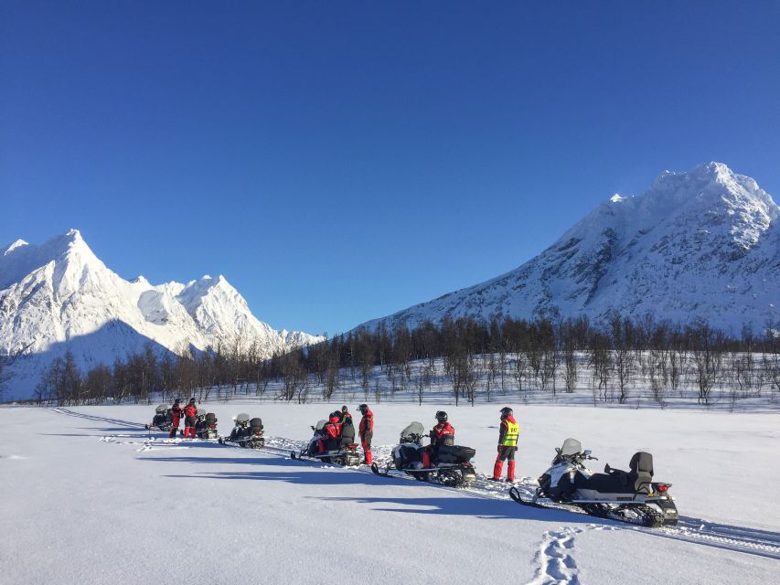 From Tromso: Eco Luxury Snowmobile Adventure to Lyngen Alps - Should you book this Camp Troll electric snowmobile trip?